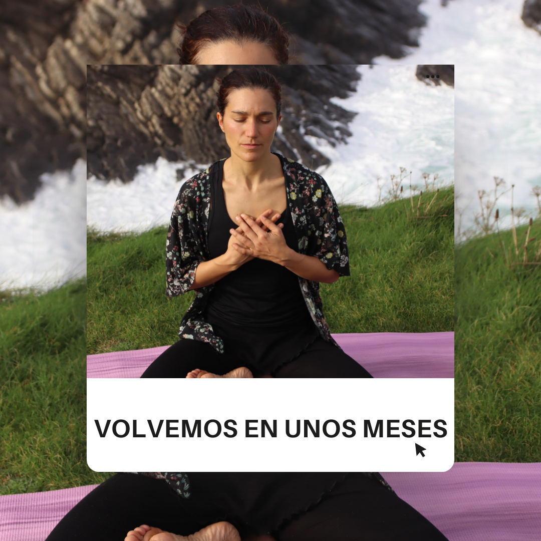 Volvemos en unos meses